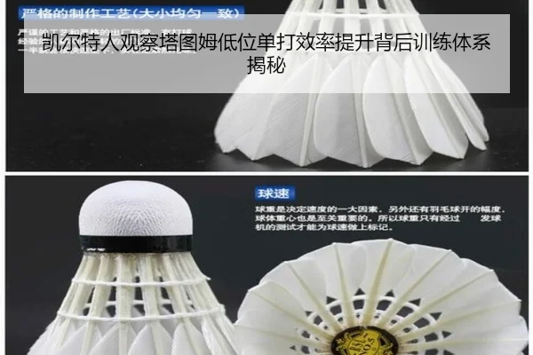 凯尔特人观察塔图姆低位单打效率提升背后训练体系揭秘